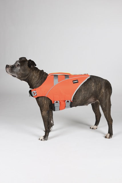 Hundra Pelastusliivi2 Normaali.jpeg