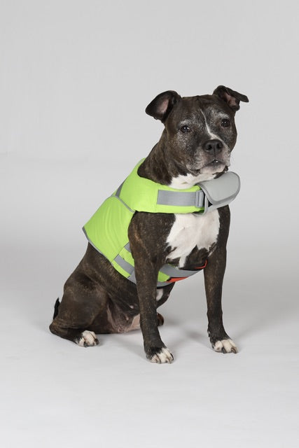 Hundra Pelastusliivi1 Normaali.jpeg